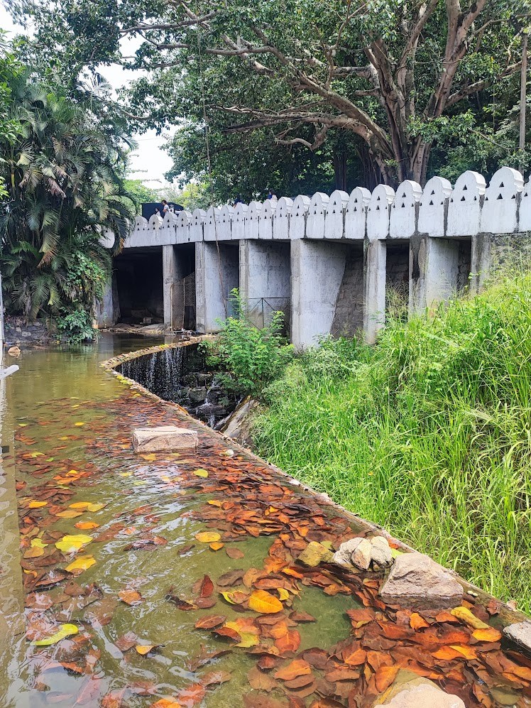 A shallow water channel covered with fallen leaves beside a white bridge
